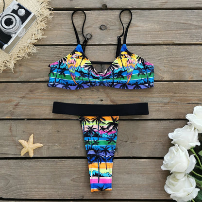 Brazilian Bikini Set Women Print Biquini Female Cut Bikinis Swimwear Push Up Swimsuit Bath Suit