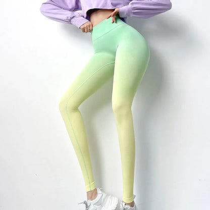 Women Coloured Leggings Gradient Tone Coloured Variations Yoga  Pants
