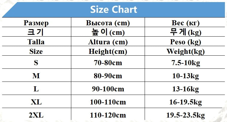 Kids Boy Swimsuit Letter Dinosaur Print Two-Piece Suits 3PCS Cartoon Children Board Shorts Children Boys Swimwear Surfing Suit